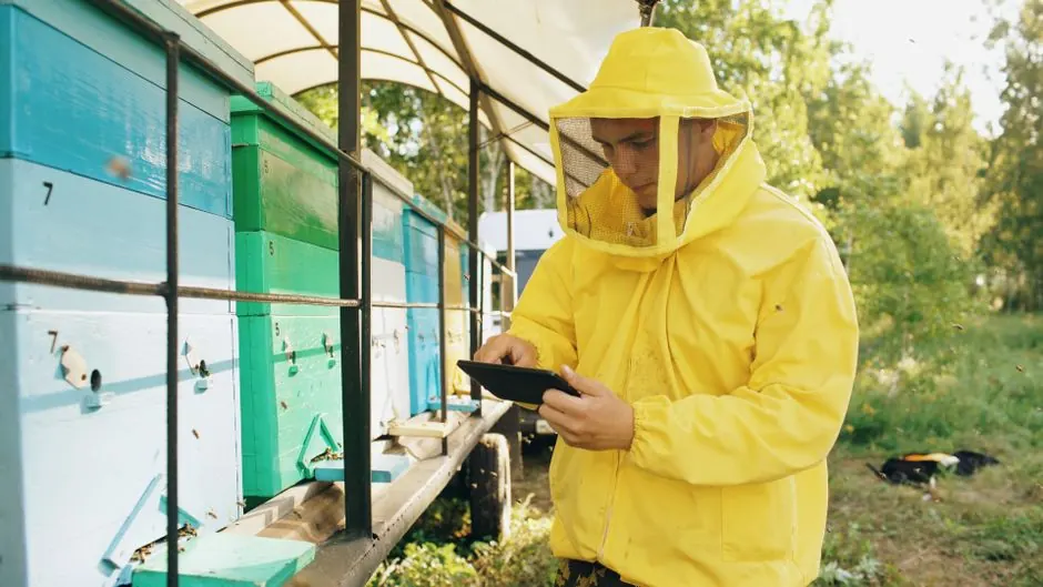 Residential Carpenter Ant Exterminator