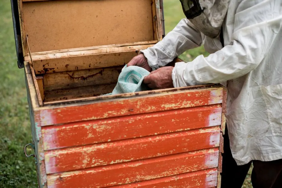 Termite Treatment in Ironton